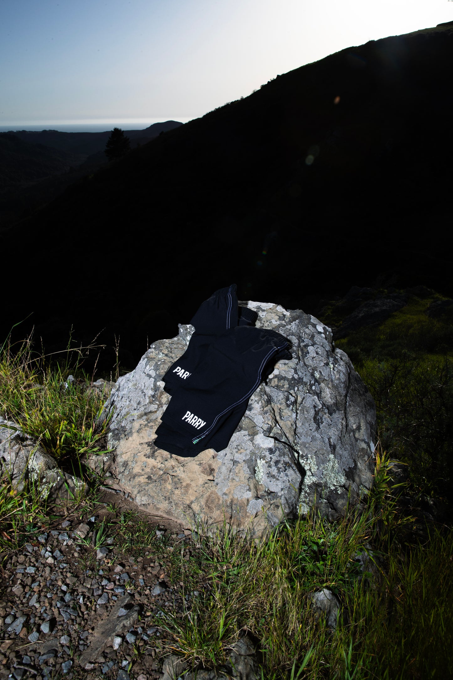 CORE SHORT (5" inseam)